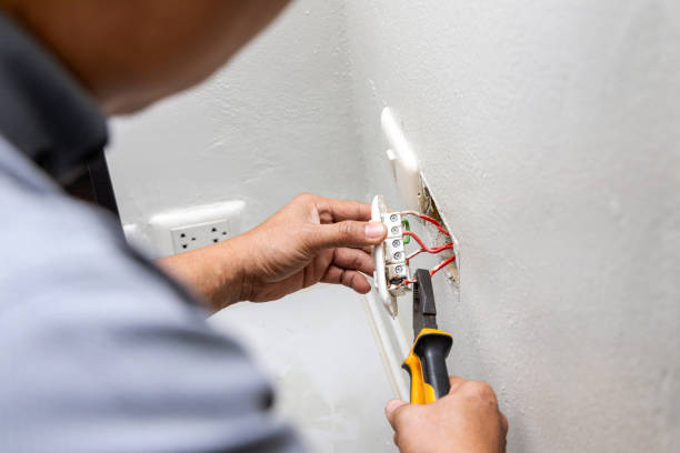 Best Affordable Electrician  in Ives Estates, FL